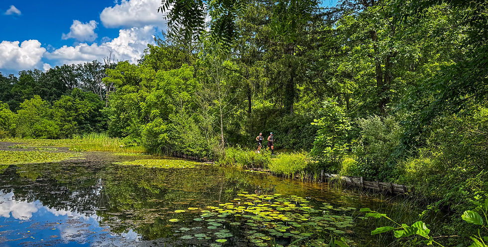 2025 at Canoe Creek State Park on Fisherman's Path near the start. The first section in the state park offers no indication on what is yet to come.