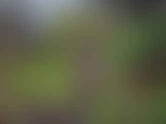 One Dam Good Trail Race