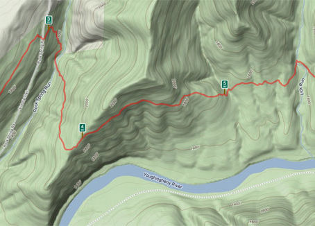 The Laurel Highlands 50K and My Origin Story