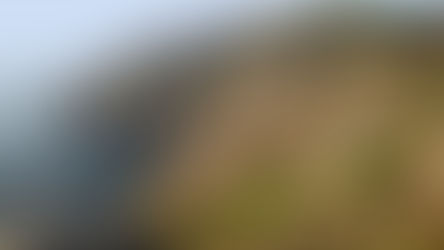 Témoignage d'un jeune RS