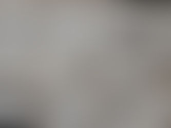 Une base solide: la 1ère Colmar SdF