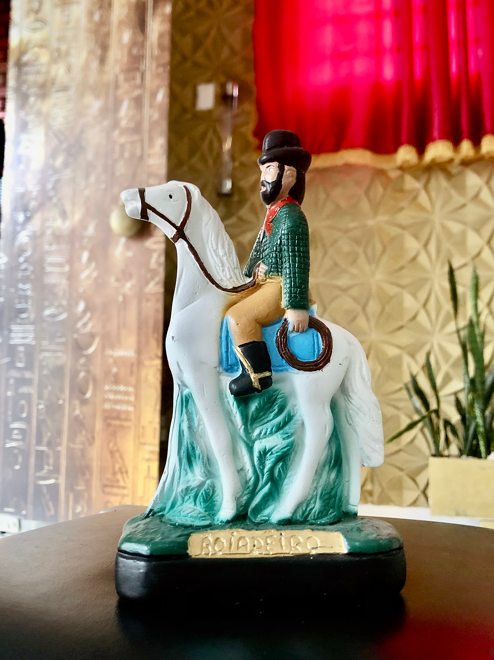 Imagem Boiadeiro | Em Gesso - 20cm