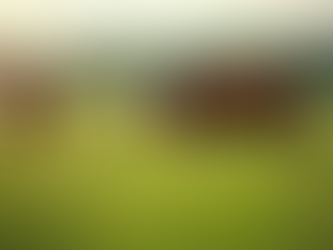 Why Choose Grass-Fed Beef for Your Family's Dinner?