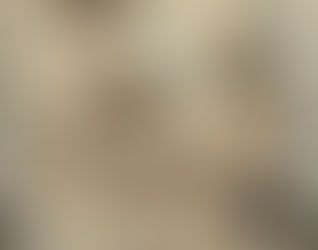 What happens if your CEO gets cancelled?