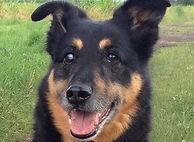 Athos