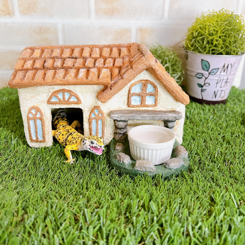 小さなトカゲのオレンジハウス！ | REPTOWN