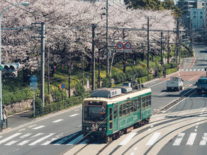 【東京櫻花攝點筆記 】北區|『飛鳥山公園』都電荒川線與櫻花們,東京櫻花景點系列