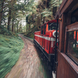阿里山森林火車｜楓度翩翩