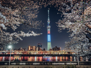 【東京櫻花攝點筆記 】台東區|『淺草觀音寺、隅田川公園』,東京櫻花景點系列
