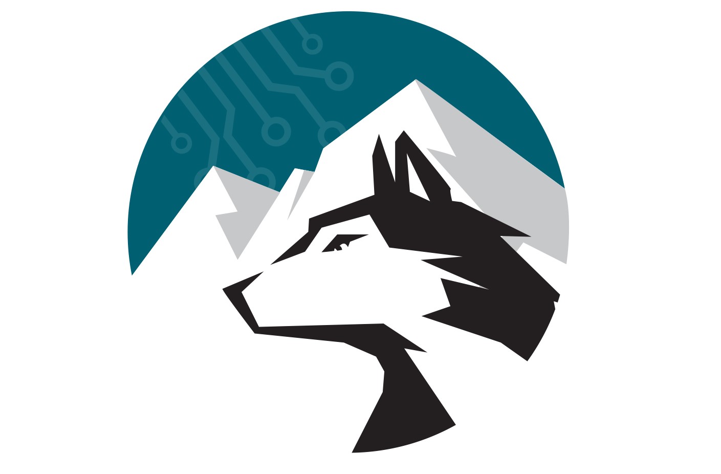 Writer: West Wolf IT Solutions