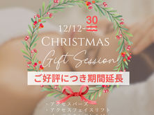 【好評延長12/30まで】クリスマスギフトセッション