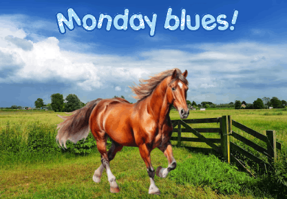 animated horse phrases cards
