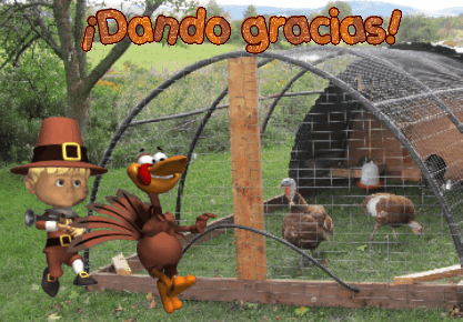 animated greeting cards in 5 languages: English, French, German, Italian & Spanish