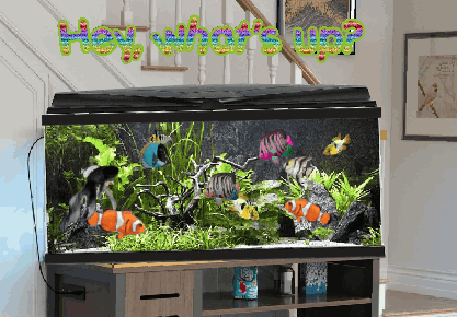 animated fish in aquarium phrases cards