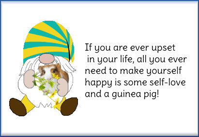 me & my pet20.gif