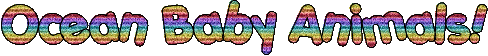 text (3).gif