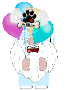 animated happy birthday in heaven gnome