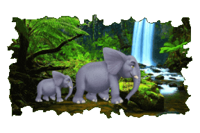 animated Wild Animals sticker