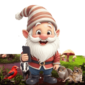 animated gnome taking a selfie