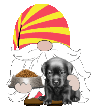 animated me and my pet gnome