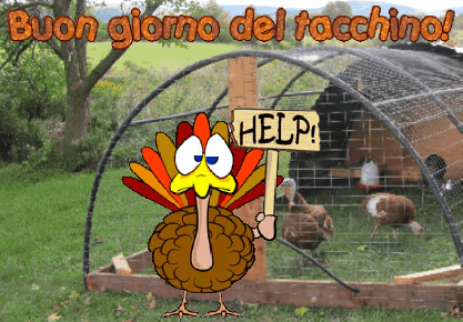 animated greeting cards in 5 languages: English, French, German, Italian & Spanish