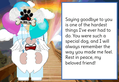 animated missing my pet in heaven card