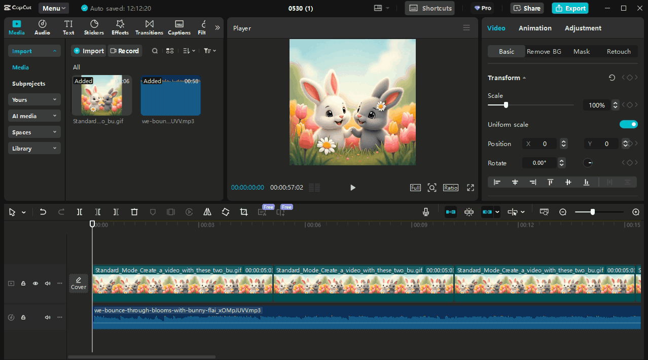 Recording #843.gif
