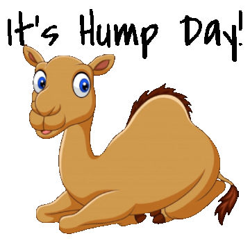 animated Word Art sticker It's Hump Day