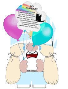 animated happy birthday in heaven gnome