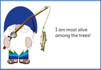 animated camping gnome card