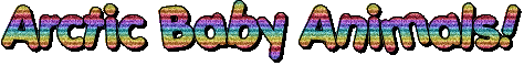 text.gif