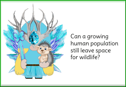 animated Forest Fairy card