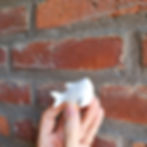 Tiny shark