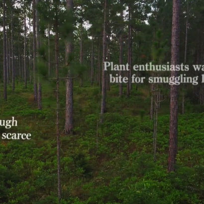 REVIEW: Trapped (Madeleine Engel, Joe Purtell, 2025)