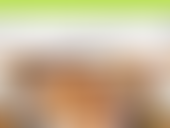 Don't Throw the Turkey Leg Across the Table by Dr.Michelle Clay