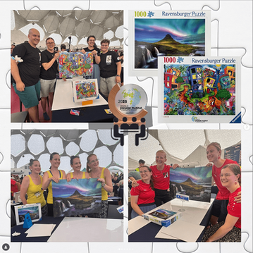 Ravensburger Puzzle by Juleez Art -Lady Bug Lane at World Jigsaw Puzzle Federation Finals