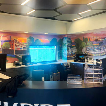 Juleez Art- Painted Mural- Wall Art- Bank Lobby