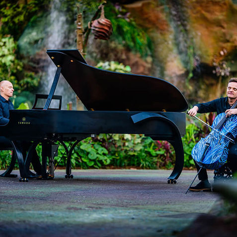 The Piano Guys with Juleez Painted Cello - Avatar Video