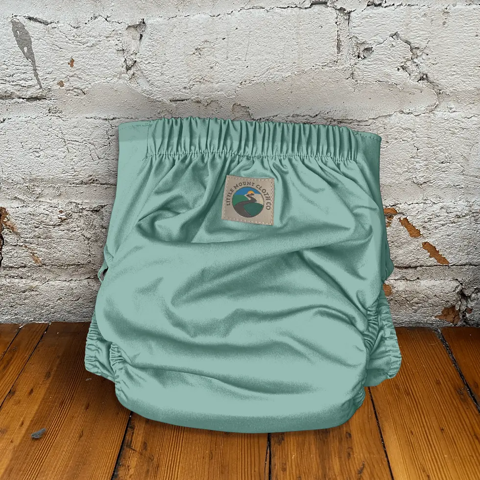 Teal- FALL & WINTER OS 3D Gusset Pocket Diaper™