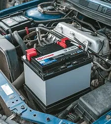 Untitled design (78).webp