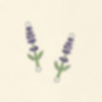 Plants_Animals_silver_lavender.jpg