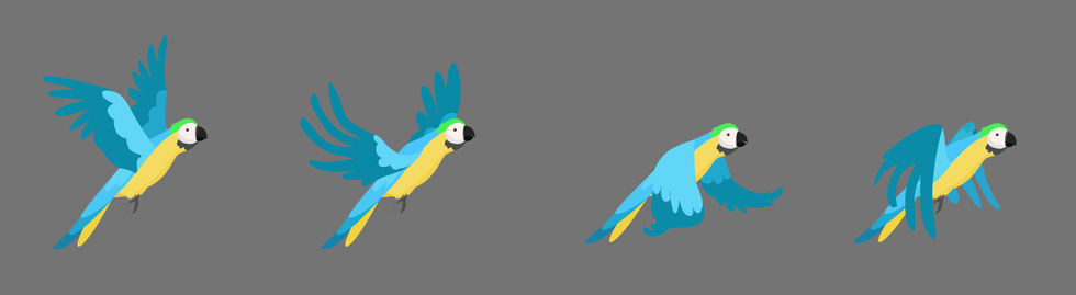 bird design-parrot spirt copy