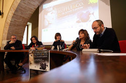 IMG_3427 (Copia).JPG