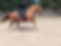 Barrell Race.jpeg