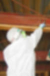 IMGP4141.JPG