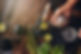 iStock-584230172.jpg