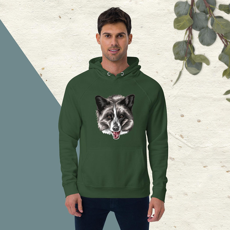 Thumbnail: "Beans the Fox" Unisex eco raglan hoodie