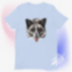 Thumbnail: "Beans the Fox" Unisex t-shirt