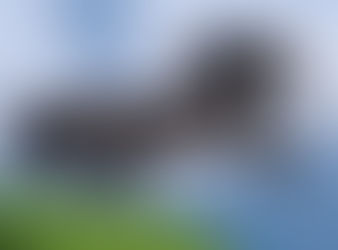 Favorite assignment-2nd Semester 