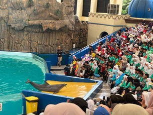 Kegiatan outing class MI PKP JIS di Sea World dan Samudra Ancol dengan suasana belajar yang menyenangkan.
